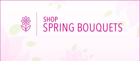 Beautiful Seasonal Flowers Banner